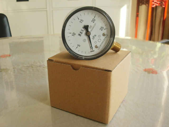  PA旗舰厅膜盒压力表正面