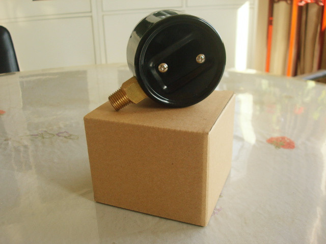  PA旗舰厅膜盒压力表背面