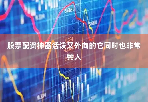 股票配资神器活泼又外向的它同时也非常黏人