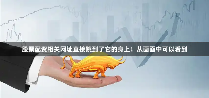 股票配资相关网址直接跳到了它的身上！从画面中可以看到