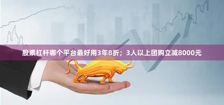 股票杠杆哪个平台最好用3年8折；3人以上团购立减8000元